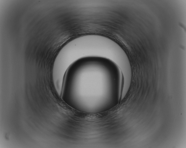 X0000090950076200708301149