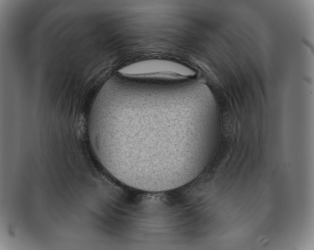 X0000090950077200708301149