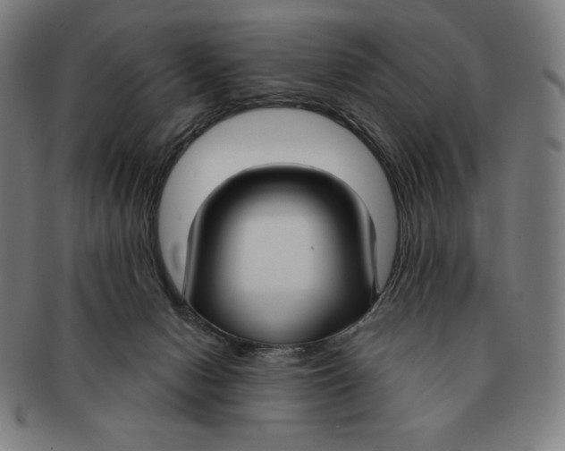 X0000090950078200708301149