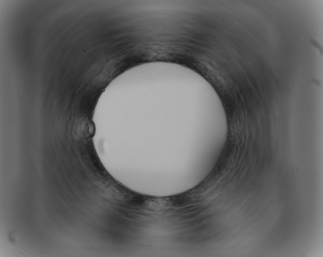X0000090950079200708301149