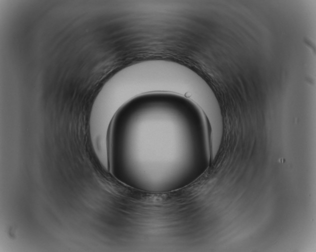 X0000090950080200708301149