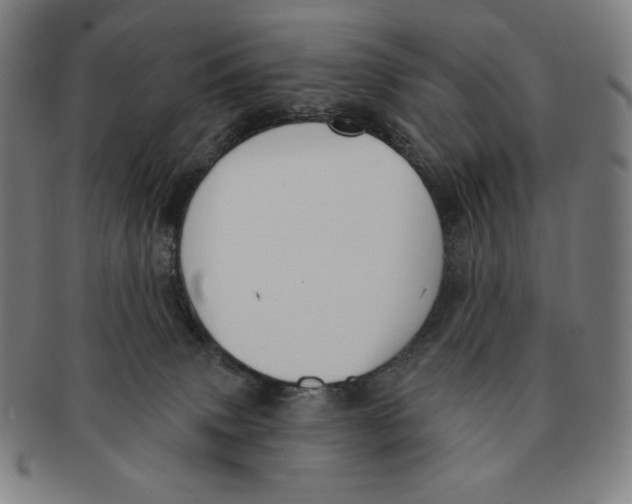 X0000090950083200708301149