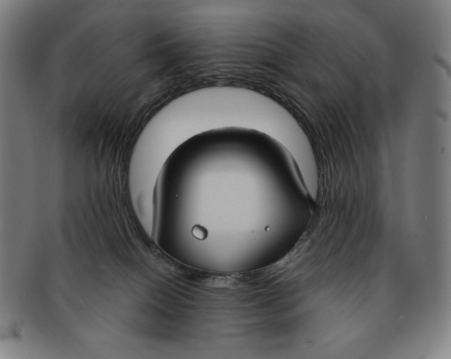 X0000090950086200708301149