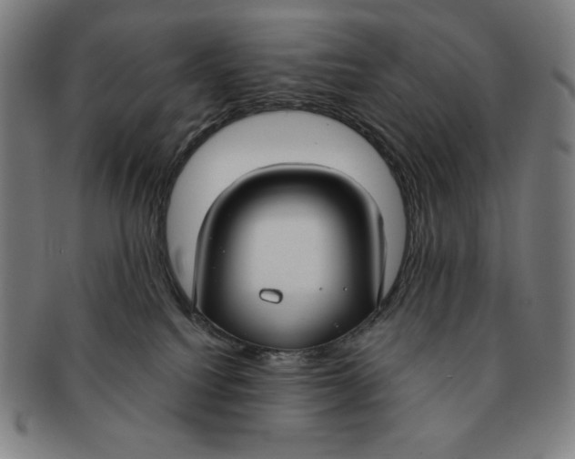 X0000090950088200708301149