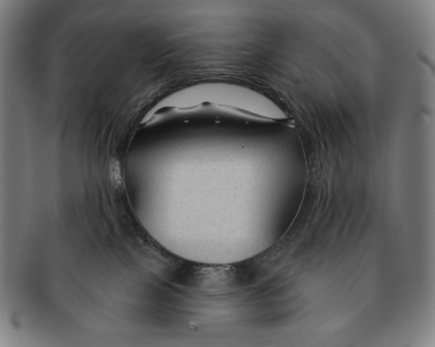 X0000090950089200708301149