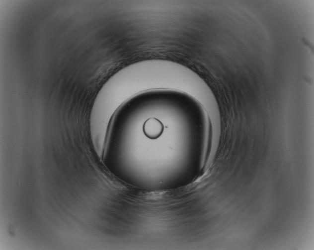 X0000090950090200708301149