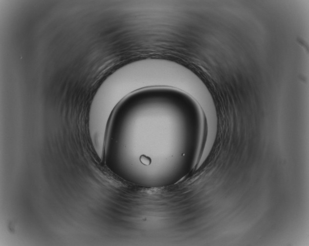 X0000090950092200708301149