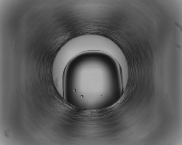 X0000090950094200708301149