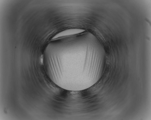 X0000090950095200708301149