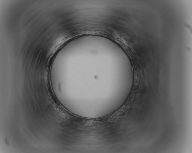 X0000090950098200708301149