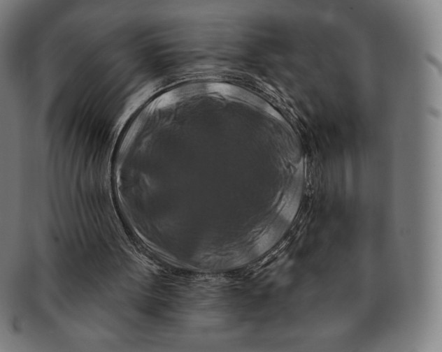 X0000090950099200708301149