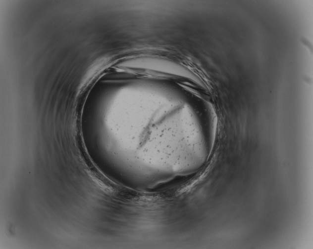 X0000090950101200708301148