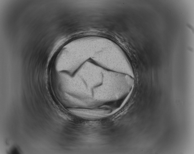 X0000090950102200708301148