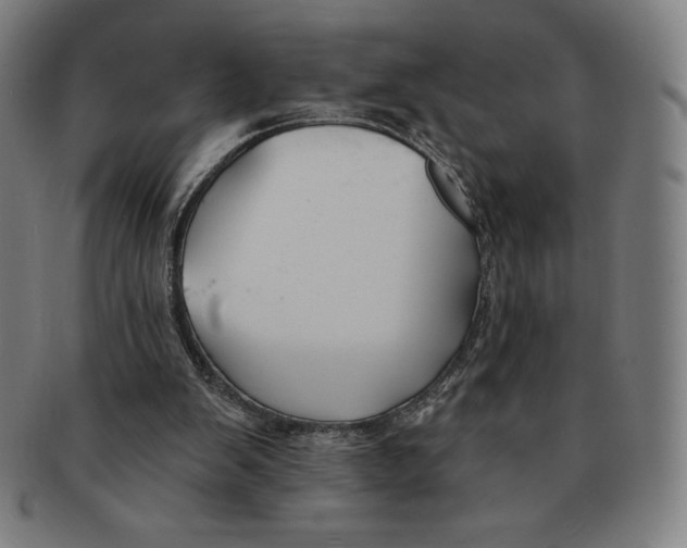 X0000090950103200708301148