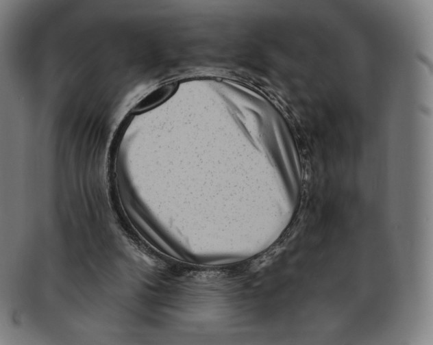 X0000090950104200708301148