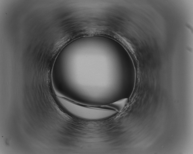 X0000090950105200708301148