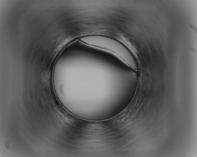 X0000090950107200708301148