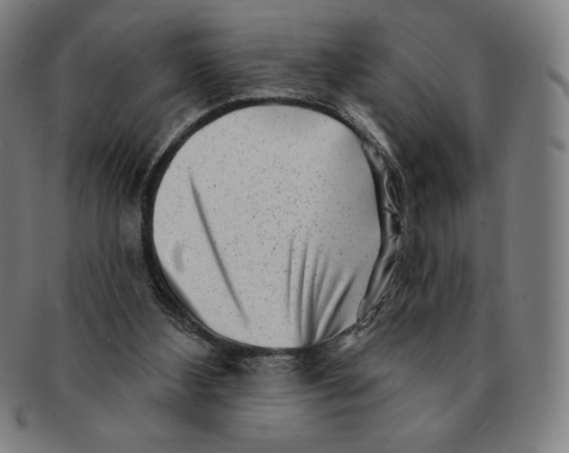 X0000090950108200708301148