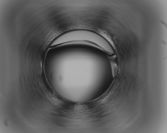 X0000090950109200708301148