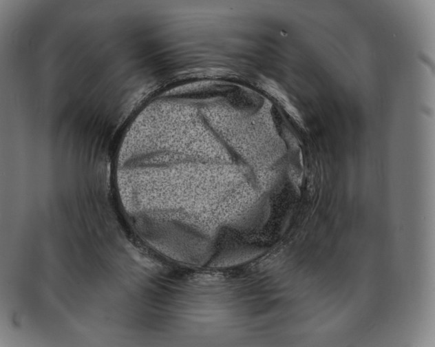 X0000090950110200708301148