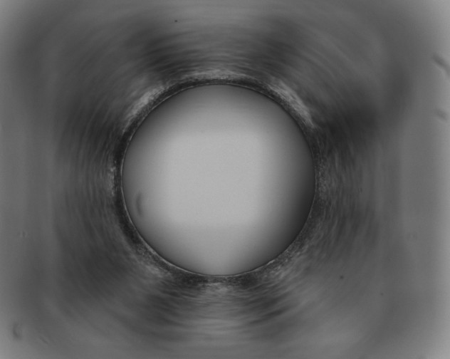 X0000090950111200708301148