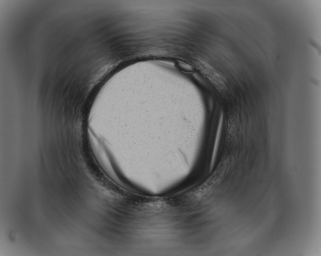 X0000090950112200708301148