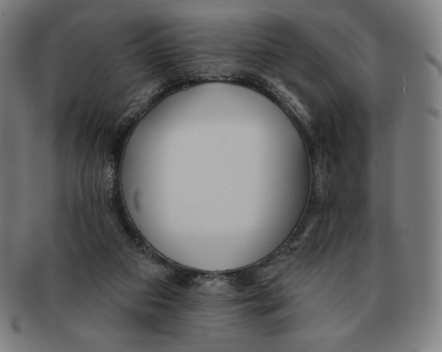 X0000090950113200708301148