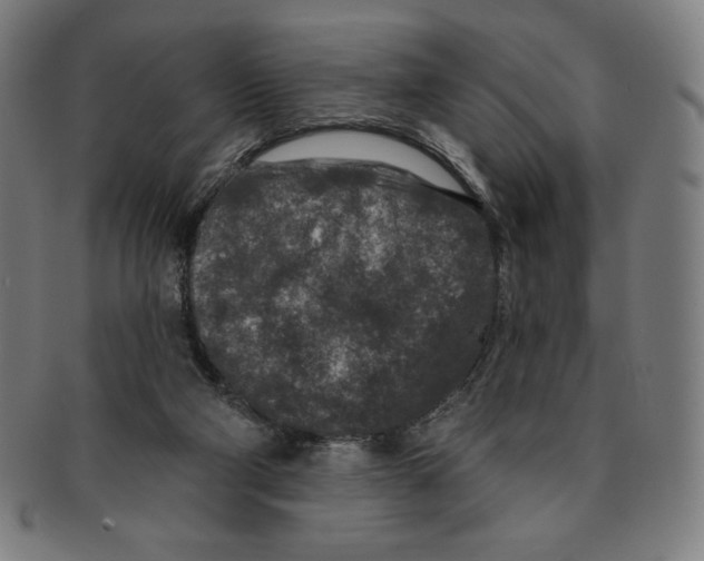 X0000090950114200708301148