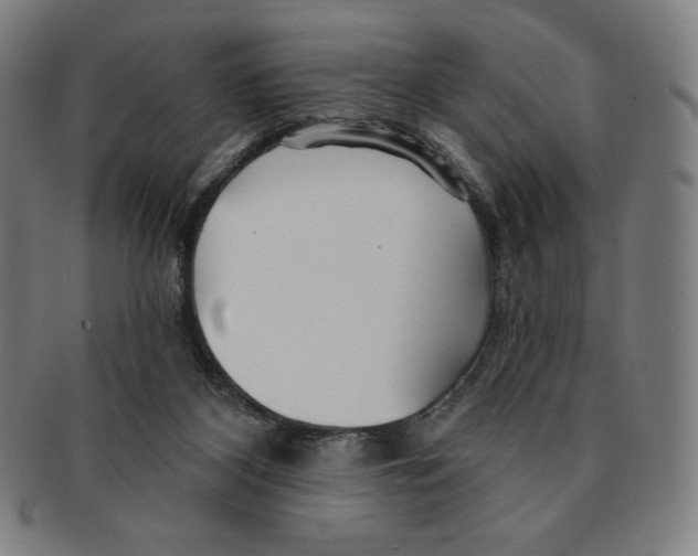 X0000090950116200708301148