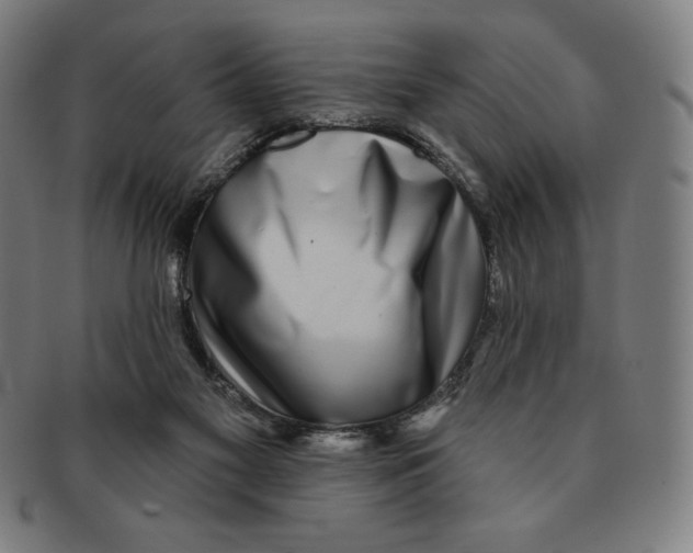 X0000090950117200708301148