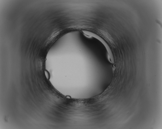 X0000090950120200708301148