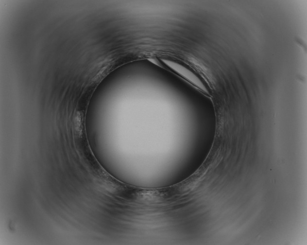 X0000090950121200708301148