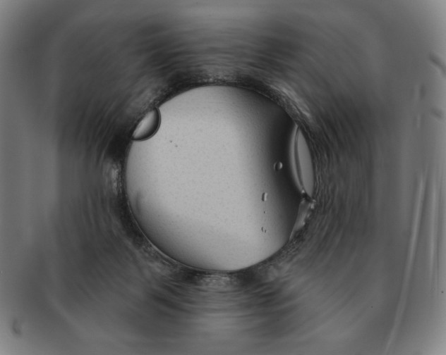 X0000090950123200708301148