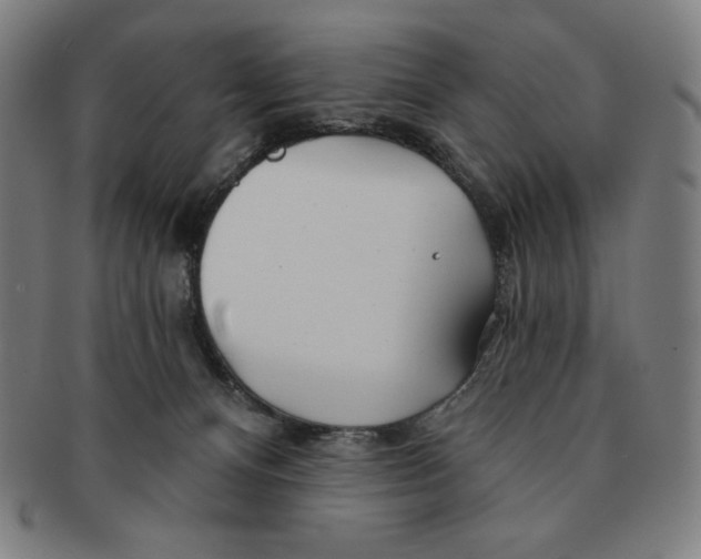 X0000090950128200708301148