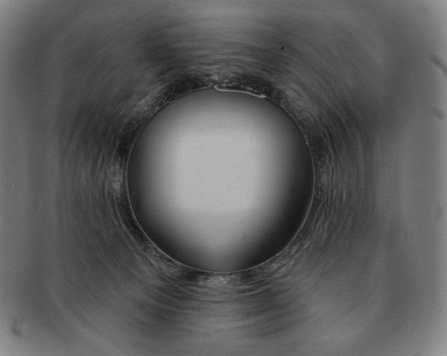 X0000090950129200708301148