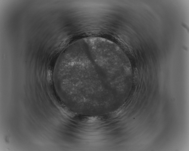 X0000090950130200708301148