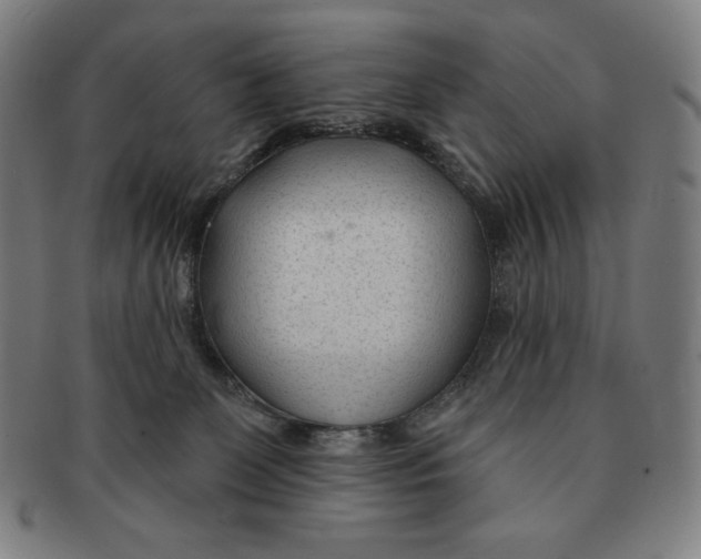 X0000090950131200708301148