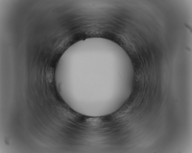 X0000090950133200708301148