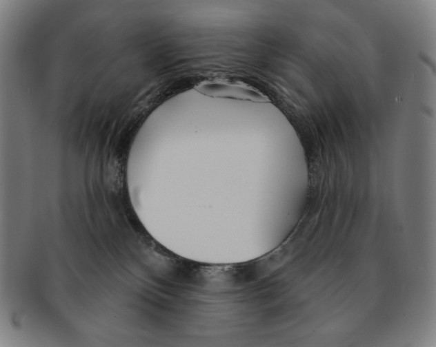 X0000090950136200708301148