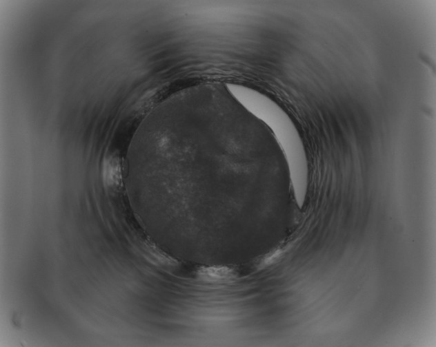 X0000090950137200708301148
