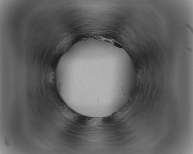 X0000090950138200708301148