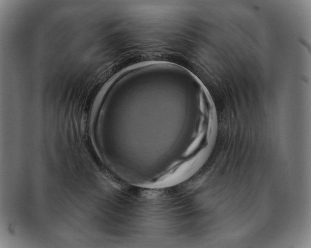 X0000090950139200708301148