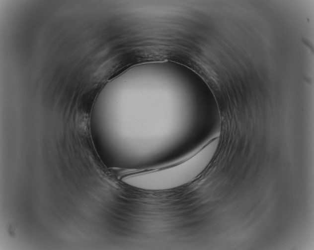 X0000090950141200708301148