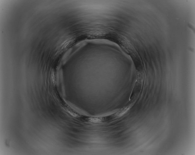 X0000090950143200708301148