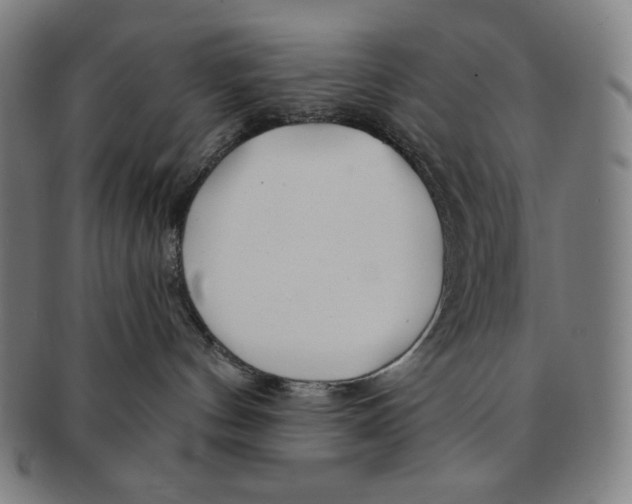 X0000090950144200708301148