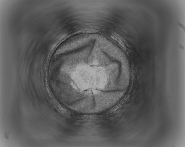 X0000090950145200708301147