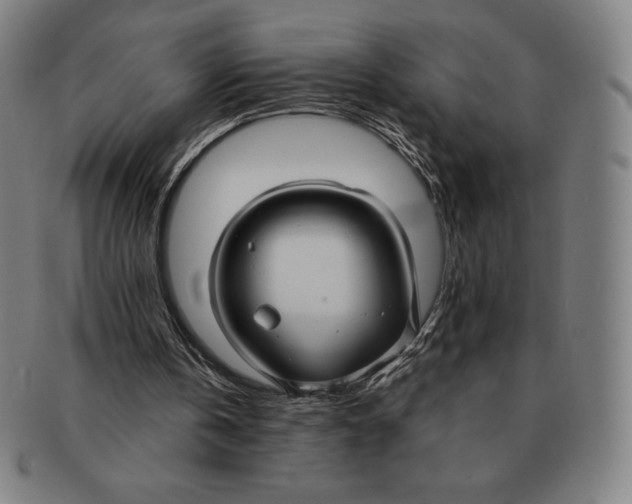 X0000090950146200708301147
