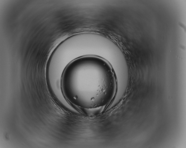 X0000090950148200708301147