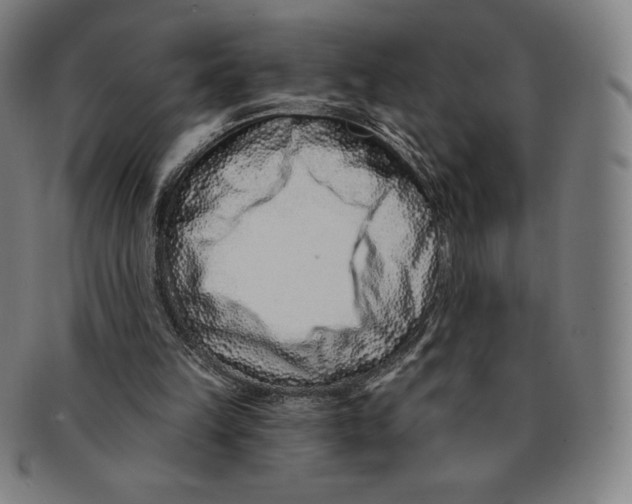 X0000090950149200708301147