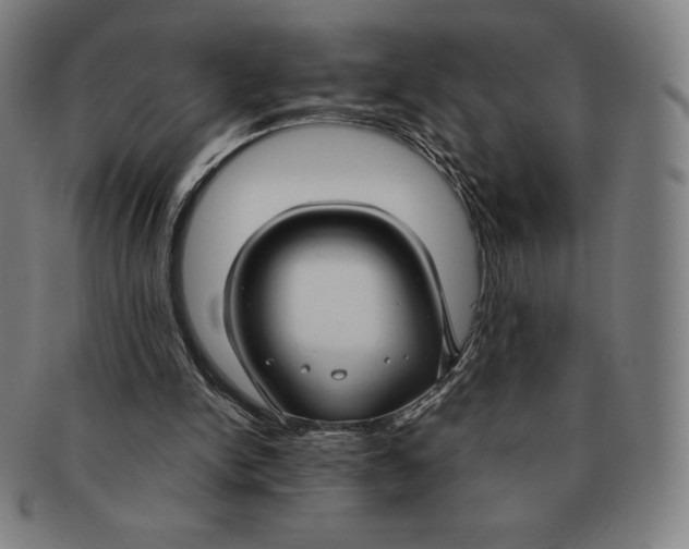 X0000090950150200708301147